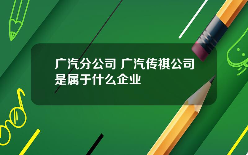 广汽分公司 广汽传祺公司是属于什么企业